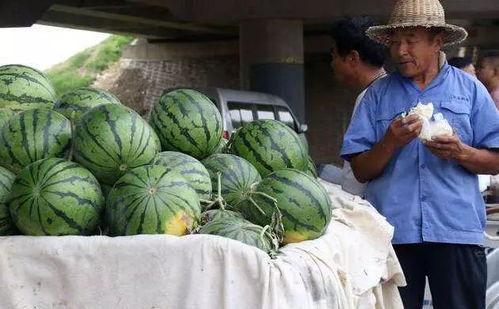 宁乡网红吃瓜事件,揭秘网络舆论背后的真相与争议  第3张