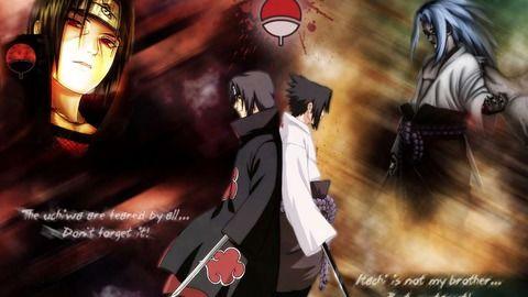 秽土鼬爆料动漫视频下载,动漫视频下载攻略大公开  第3张