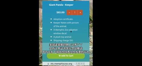 yy熊猫最新爆料消息,揭秘娱乐圈最新动态  第2张